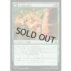 画像1: 【JPN】土の技の修行/Earthbending Lesson[MTG_TLA_0176_C]