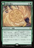 【JPN】根源の教え/Elemental Teachings[MTG_TLA_0178_R]