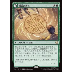 画像1: 【JPN】根源の教え/Elemental Teachings[MTG_TLA_0178_R]