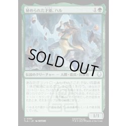 画像1: 【JPN】秘められた才能、ハル/Haru, Hidden Talent[MTG_TLA_0182_U]