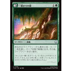 画像1: 【JPN】一繋がりの根/Shared Roots[MTG_TLA_0196_U]