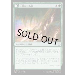 画像1: 【JPN】一繋がりの根/Shared Roots[MTG_TLA_0196_U]