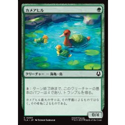 画像1: 【JPN】カメアヒル/Turtle-Duck[MTG_TLA_0200_C]