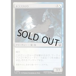 画像1: 【JPN】ネコフクロウ/Cat-Owl[MTG_TLA_0212_C]