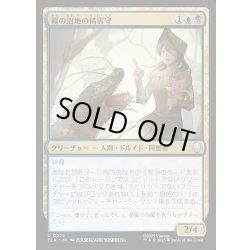 画像1: 【JPN】霧の沼地の精霊守/Foggy Swamp Spirit Keeper[MTG_TLA_0222_U]