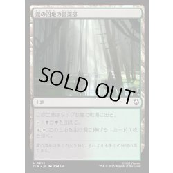 画像1: 【JPN】霧の沼地の最深部/Foggy Bottom Swamp[MTG_TLA_0269_C]