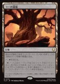 【JPN】コーの領域/Realm of Koh[MTG_TLA_0276_R]