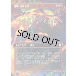 画像1: 【JPN】爆裂の技/Combustion Technique[MTG_TLA_0301_U]