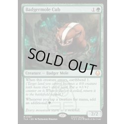 画像1: 【ENG】アナグマモグラの仔/Badgermole Cub[MTG_TLA_0167_M]