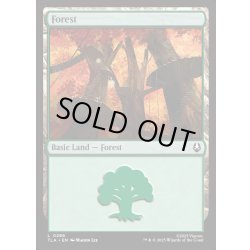 画像1: 【ENG】森/Forest[MTG_TLA_0286_C]