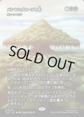 【JPN】バンヤングローブの木(グレートヘンジ)/The Banyan Tree(The Great Henge)[MTG_TLE_0041_M]