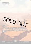 【JPN】灼陽大峡谷/Sunbaked Canyon [MTG_TLE_0058_M]