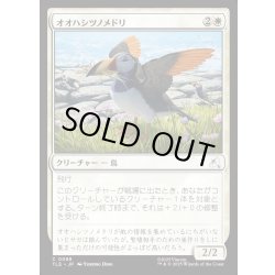 画像1: 【JPN】オオハシツノメドリ/Toucan-Puffin[MTG_TLE_0088_C]