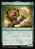 【JPN】ただの熊、ボスコ/Bosco, Just a Bear[MTG_TLE_0132_U]