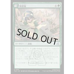 画像1: 【JPN】地裂術/Cracked Earth Technique[MTG_TLE_0135_U]