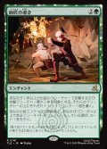 【JPN】師匠の導き/Master's Guidance[MTG_TLE_0141_R]