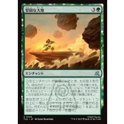 画像1: 【JPN】堅固な大地/Solid Ground[MTG_TLE_0142_U]