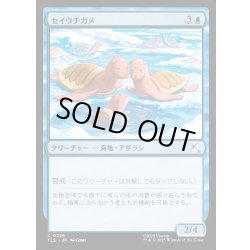 画像1: 【JPN】セイウチガメ/Turtle-Seals[MTG_TLE_0226_C]