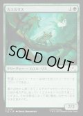 【JPN】カエルリス/Frog-Squirrels[MTG_TLE_0251_C]