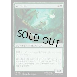 画像1: 【JPN】カエルリス/Frog-Squirrels[MTG_TLE_0251_C]