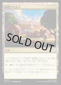 【JPN】興隆する木立/Thriving Grove[MTG_TLE_0261_C]