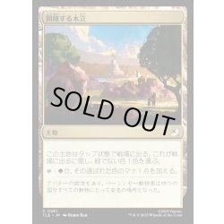 画像1: 【JPN】興隆する木立/Thriving Grove[MTG_TLE_0261_C]
