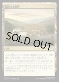 【JPN】興隆する荒野/Thriving Heath[MTG_TLE_0262_C]