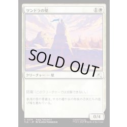 画像1: 【JPN】ツンドラの壁/Tundra Wall[MTG_TLE_0275_C]