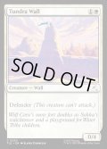 【ENG】ツンドラの壁/Tundra Wall[MTG_TLE_0220_C]