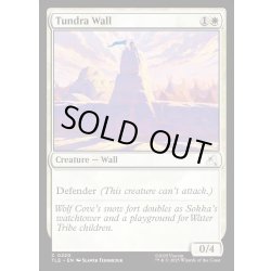 画像1: 【ENG】ツンドラの壁/Tundra Wall[MTG_TLE_0220_C]