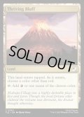【ENG】興隆する絶壁/Thriving Bluff[MTG_TLE_0260_C]