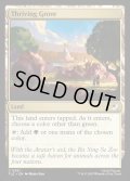 【ENG】興隆する木立/Thriving Grove[MTG_TLE_0261_C]