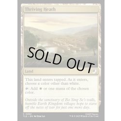 画像1: 【ENG】興隆する荒野/Thriving Heath[MTG_TLE_0262_C]