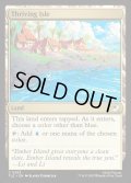 【ENG】興隆する島嶼/Thriving Isle[MTG_TLE_0263_C]