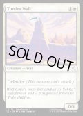 【ENG】ツンドラの壁/Tundra Wall[MTG_TLE_0275_C]