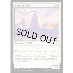 画像1: 【ENG】ツンドラの壁/Tundra Wall[MTG_TLE_0275_C]