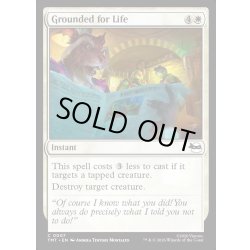 画像1: 【ENG】お仕置きの時間/Grounded for Life[MTG_TMT_0007_C]