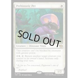 画像1: 【ENG】古代ペット/Prehistoric Pet[MTG_TMT_0022_R]