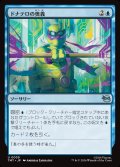 【JPN】ドナテロの奥義/Donatello's Technique[MTG_TMT_0039_U]