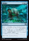 【JPN】液体漏れ/Ooze Spill[MTG_TMT_0048_U]
