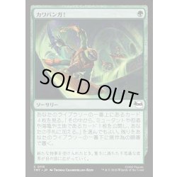 画像1: 【JPN】カワバンガ！/Cowabunga![MTG_TMT_0113_C]