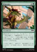【JPN】叩きのめし/Tenderize[MTG_TMT_0133_C]