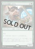 【JPN】次元を超越したウシ/Transdimensional Bovine[MTG_TMT_0134_R]