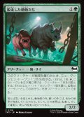 【JPN】脱走した動物たち/Zoo Escapees[MTG_TMT_0138_C]