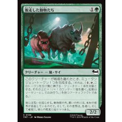 画像1: 【JPN】脱走した動物たち/Zoo Escapees[MTG_TMT_0138_C]