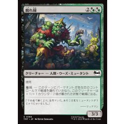 画像1: 【JPN】腐れ縁/Putrid Pals[MTG_TMT_0165_C]
