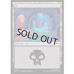 画像1: 【JPN】沼/Swamp[MTG_TMT_0317_C]