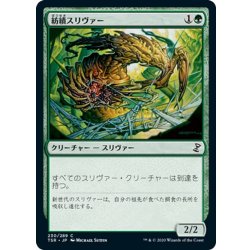 画像1: 【JPN】紡績スリヴァー/Spinneret Sliver[MTG_TSR_230C]