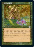 【JPN】自然の要求/Nature's Claim[MTG_TSR_364B]