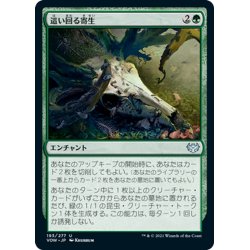 画像1: 【JPN】這い回る寄生/Crawling Infestation[MTG_VOW_193U]